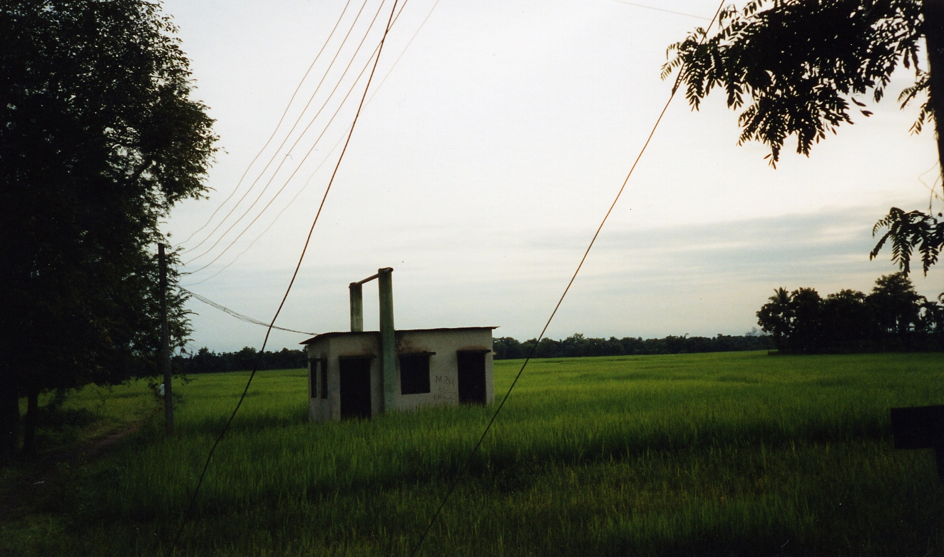 A small field building standing in a rice landscape in Tripura