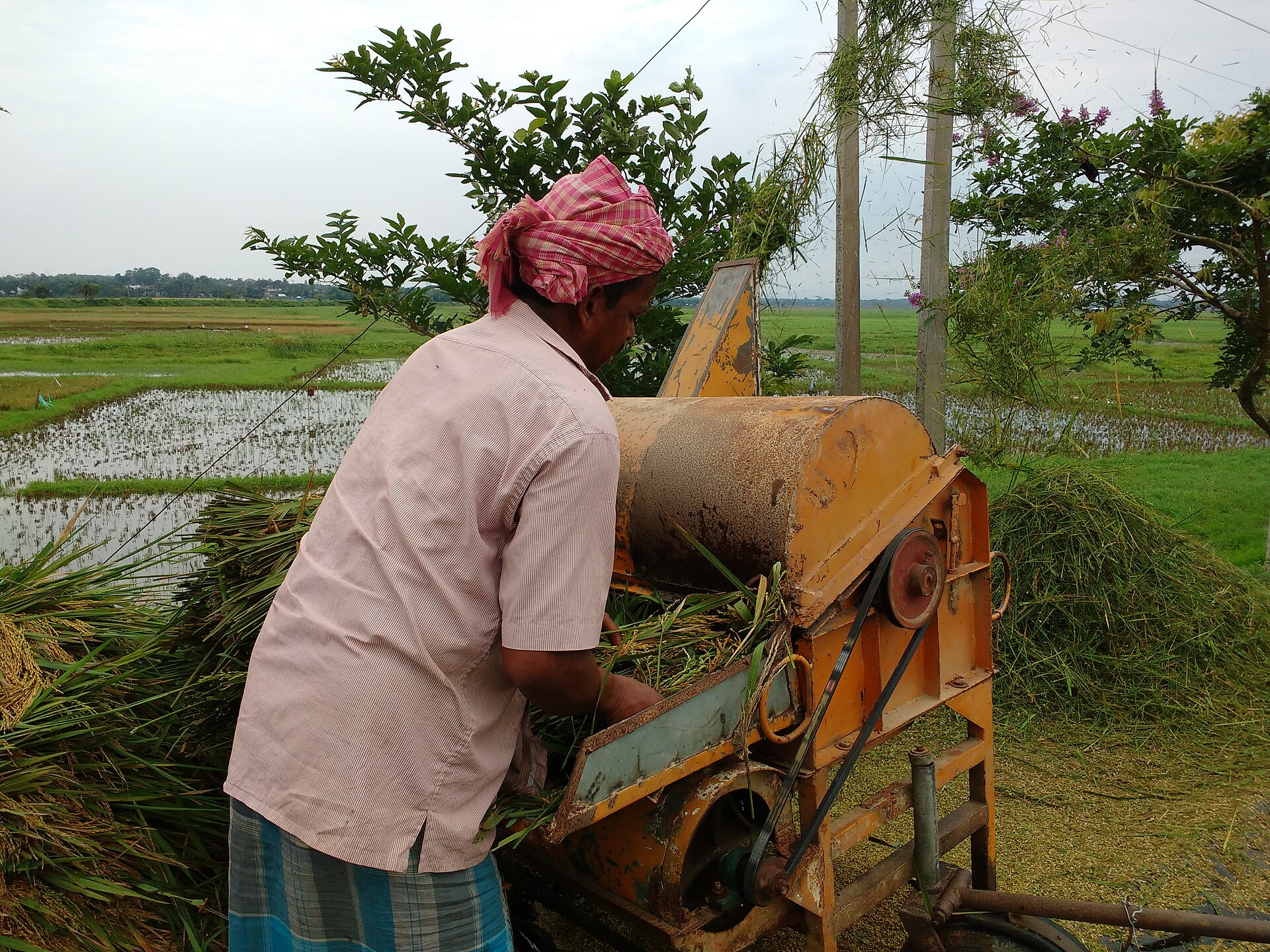 Farmer in Tripura supported by Ambassa PACS, a Primary Agricultural Credit Society in India